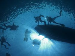 Divers getting ready to descend. by Erika Antoniazzo 